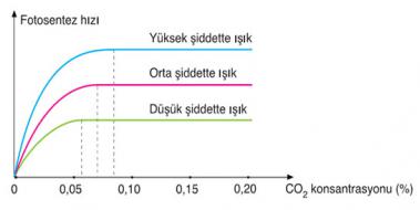 Fotosentez Hzn Etkileyen Faktrler