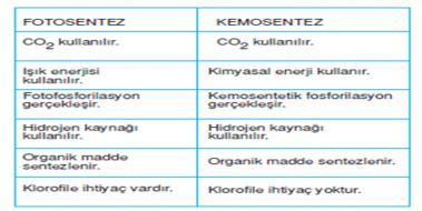 Fotosentez Kemosentez